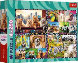 Trefl 13313 - Mókás állatok - 4 x 250 db-os puzzle (13313)