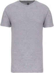 Kariban KA3027IC KIDS' BIO150IC CREW NECK T-SHIRT (ka3027icoxg-10/12)