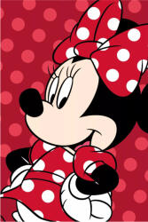 Disney Minnie Red mikroflanel, plüss takaró 100x150cm