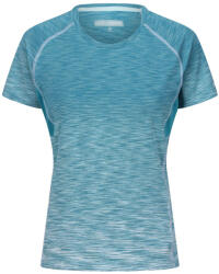 Regatta Laxley II Mărime: L / Culoare: negru/gri (RWT304_5RN_14L)