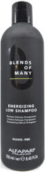 ALFAPARF Milano Blends Of Many Energizing Low Shampoo 250 ml