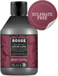 Black Professional Line Rouge Color Lock Anti-Fade Colour Protection Shampoo 300 ml