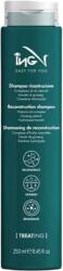 ING Treating Reconstruction Shampoo 250 ml
