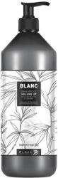 Black Professional Line Blanc Volume Up Volumising Shampoo 1000 ml