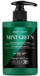 Black Professional Black Professional Crazy Toner Semi-permanent Hair Colour 300 ml vopsea semi-permanentă Mint Green