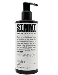 STMNT Shampoo 300 ml