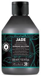 Black Professional Line Jade Repairing Shampoo 300 ml
