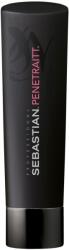 Sebastian Professional Penetraitt Shampoo 250 ml