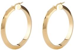 Guess Cercei Guess Hoops. . . I did it again rotunzi JUBE04194JWYGT-U