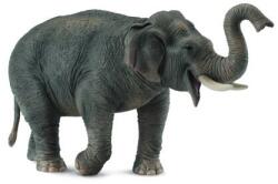 CollectA elefant asiatic (M1188486) Figurina