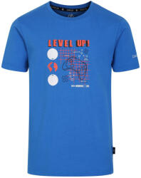 Dare2b Trailblazer II Tee gyerek póló Gyerek 110-116 / szürke