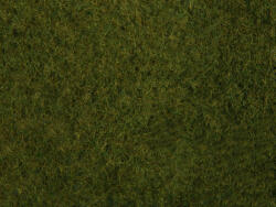 Noch 07282 Téphető vadfű, olajzöld (4007246072828)