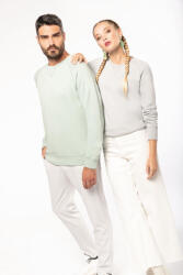 Kariban KA480 MEN'S ORGANIC COTTON CREW NECK RAGLAN SLEEVE SWEATSHIRT (ka480sngr-2xl)