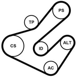 Continental Ctam Set curea transmisie cu caneluri CONTINENTAL CTAM 7PK1795K2 (7PK1795K2) - automobilus
