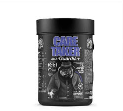 Zoomad Labs Caretaker® BCAAs 10: 1: 1 (480 g, Twister Berries)