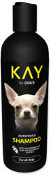 KAY Sampon nutritiv KAY 250 ml (2414-11033) - efistore