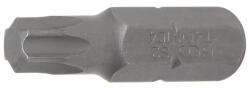 BGS technic Technic Behajtófej Hossz 30 mm Külső hatszögletű 8 mm (5/16") T-profil (Torx) T40 (BGS-8164) (BGS-8164)