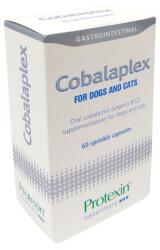 Protexin Cobalaplex tabletta 60db (TG-131572)