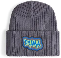 PUMA Cosmic , Gri , Youth