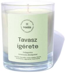 Vonia Tavasz ígérete - Kézműves szójagyertya mentás-citrusos illatvarázzsal
