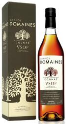 Grands Domaines VSOP cognac DRS (0, 7L / 40%) - whiskynet