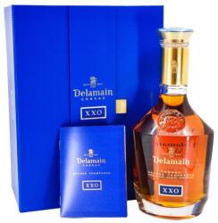 Delamain XXO decanter cognac (0, 7L / 40%) - whiskynet