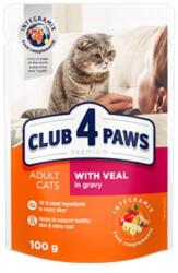 CLUB 4 PAWS macskaeledel Borjú szószban 24x100g