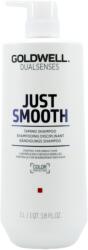 Goldwell Dualsenses Just Smooth Taming Shampoo 1000 ml
