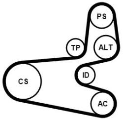 Continental Ctam Set curea transmisie cu caneluri CONTINENTAL CTAM 6PK1560K1 - centralcar