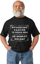  Nyugdíjas vagyok, jó munkát holnap - Férfi Póló (916857)