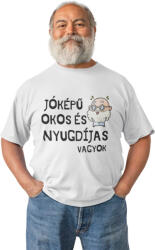  Jóképű, okos és nyugdíjas vagyok - Férfi Póló (474399)