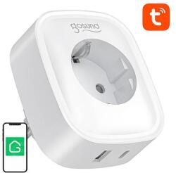 Gosund SP6 16A USB-C 20W Tuya smart WiFi/Bluetooth socket (SP6)
