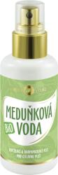 PURITY VISION Bio Citromfű víz 100 ml