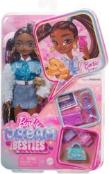 Mattel Papusa cu accesorii, Barbie, Dream Besties, Brooklyn, HYC22 Papusa Barbie