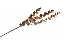 Chaks Eucalipt artificial - Marron glitter, 61 cm