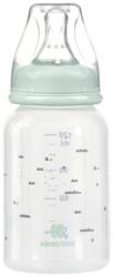 KikkaBoo Бебешко шише Kikkaboo - Savanna, PP, 120 ml, Mint (31302020124)