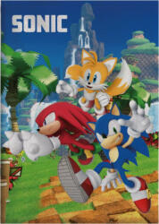 Sega Sonic a sündisznó polár takaró, pléd 100x140 cm Nr2