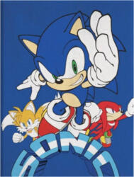 Sega Sonic a sündisznó polár takaró, pléd 100x140 cm Nr3