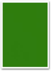 Bluering Etikett címke, 210x297mm, 1 címke/lap zöld Bluering® (BRET111Z) - irodasziget