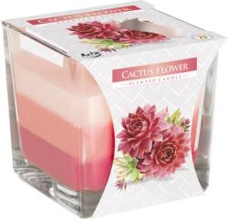 BISPOL Lumânare parfumată Bispol Aura - Cactus Flower, 170 g (snk80-312)