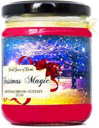 With Scent of Books Lumanare parfumata - Christmas Magic, 212 ml