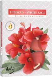 BISPOL Lumanari parfumate Bispol Aura - Hibiscus-White Sage, 6 bucăți (p15-356)