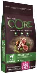 Wellness Core Felnőtt Bárány 2 x (10+2 kg)