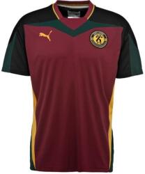 PUMA x daily paper tee f95 Rövid ujjú póló 574170-095 Méret S 574170-095