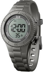 Ice Watch 021610