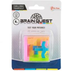 Magic Toys Brain Quest labirint de cub joc de îndemânare (35446A)