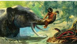 Diafilm Kipling: Mowgli, fiul lupilor diafilm (D34102479)