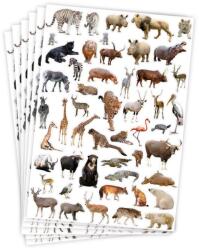 Playbox PlayBox: Stickere cu animale sălbatice, set de 300 bucăți (2471105)