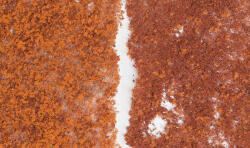 Woodland F56 Lombozat, késő őszi színezés (szivacsos) (724771000563)