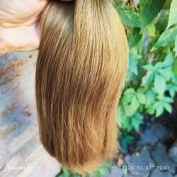  6.1 Világos hamvas szőke / 1. osztályú Bulk/ (879737)